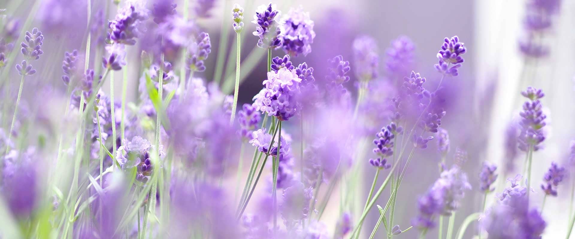 Blog-Image